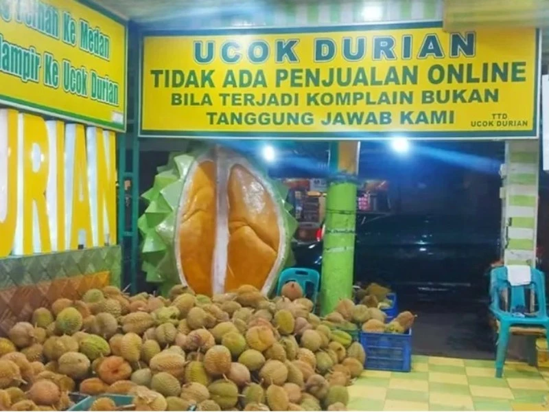 UCOK DURIAN MEDAN: Surga Pecinta Durian di Kota Medan UCOK DURIAN MEDAN: Surga Pecinta Durian di Kota Medan